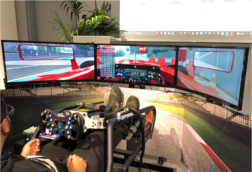 sim-racing-ecosystem-activities