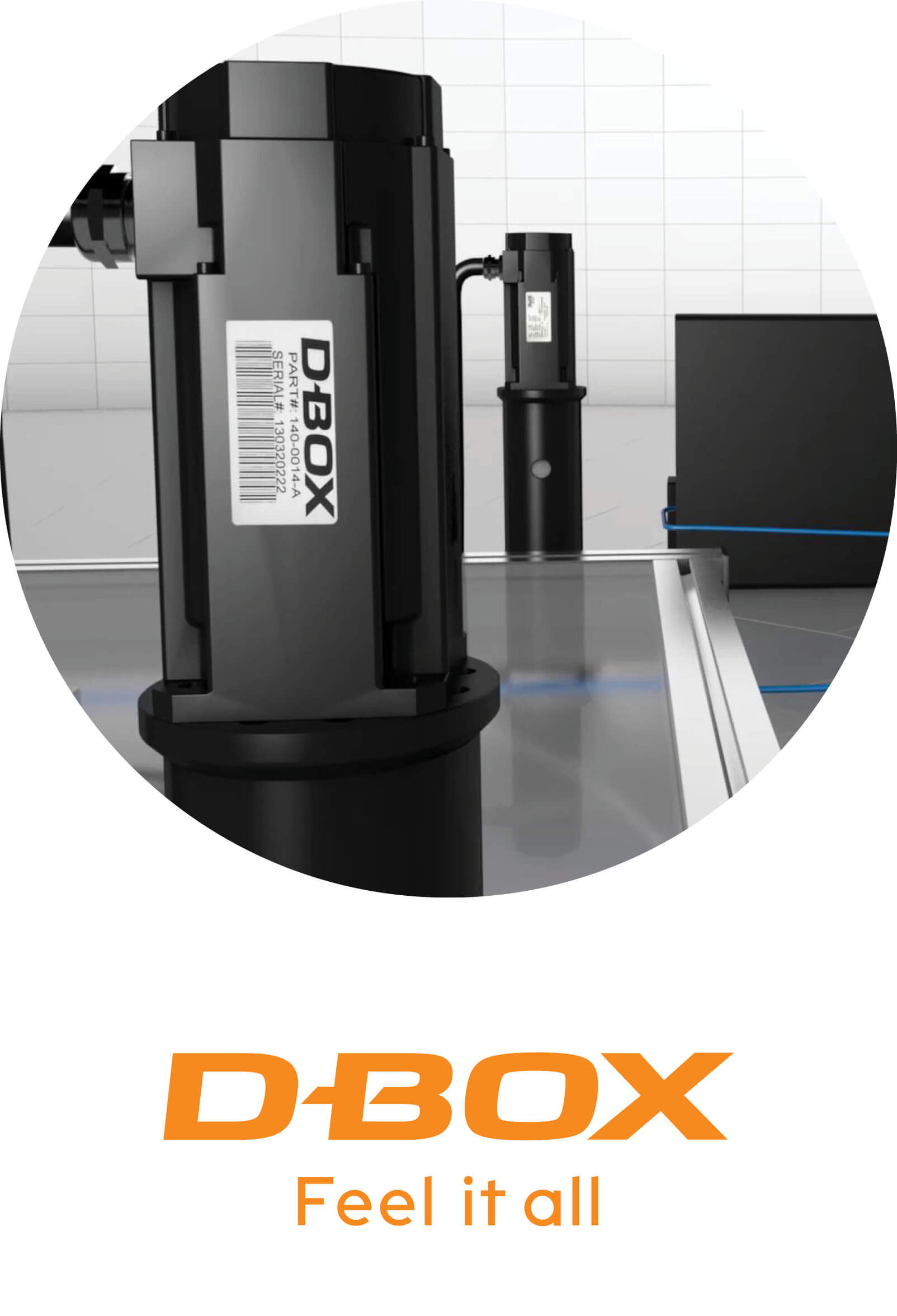 D-Box